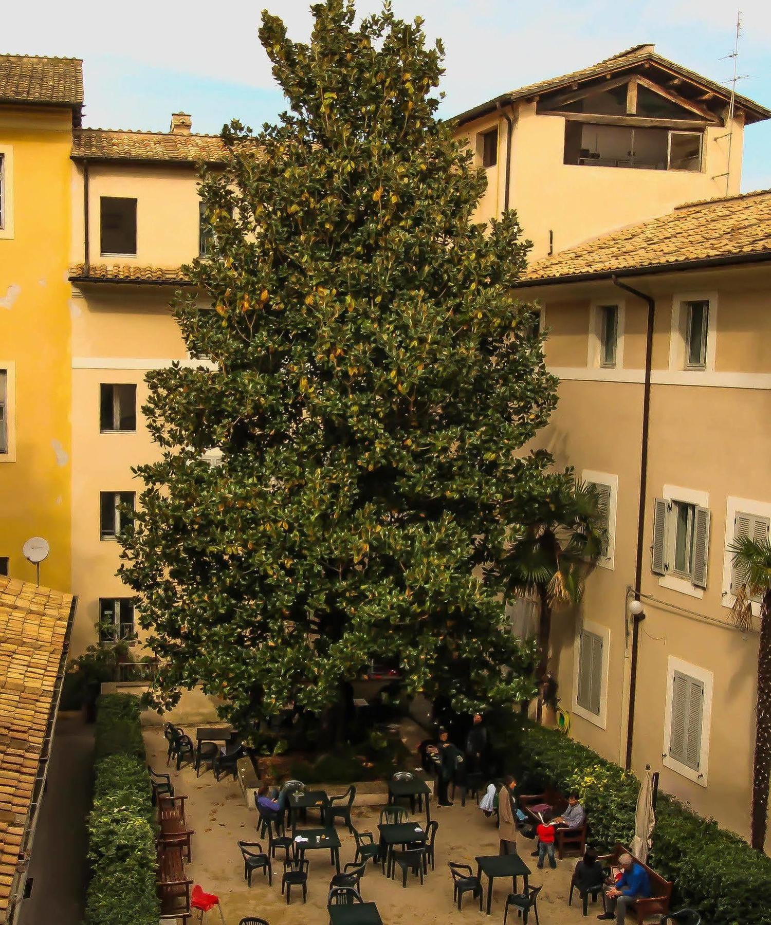 Orsa Maggiore Hostel For Women Only Roma Exterior foto